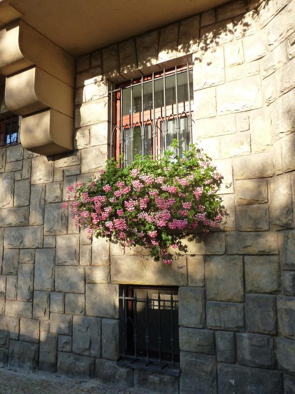 Pstrossova Vila - U Klasterni Zahrady Bechyně Cameră foto