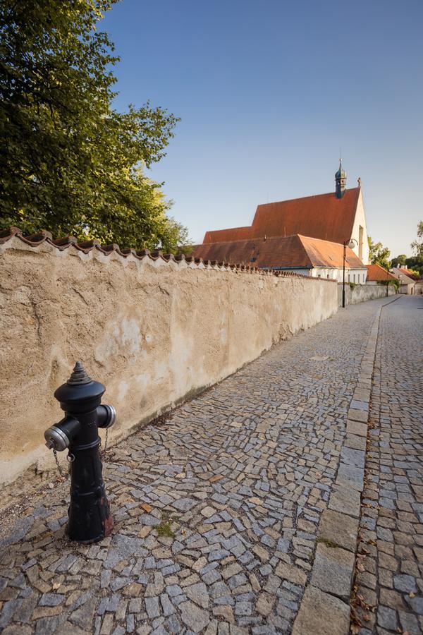 Pstrossova Vila - U Klasterni Zahrady Bechyně Exterior foto